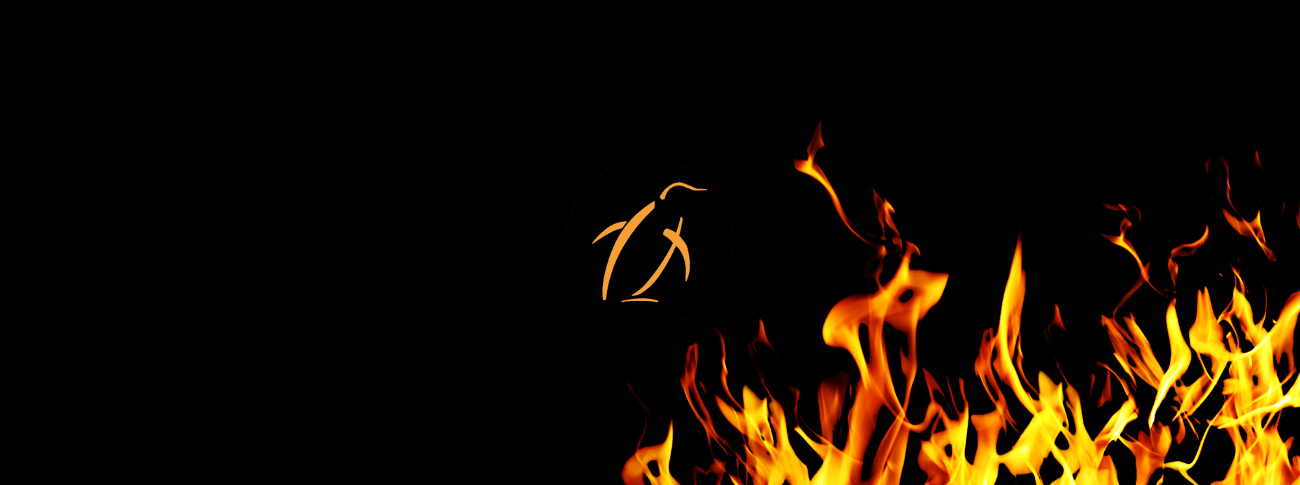 Chilli Penguin